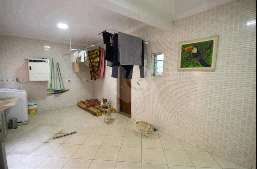 Casa à venda com 5 quartos, sendo 4 suítes, em Vila Maria Alta, São Paulo, SP