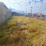 Terreno à venda em Parque São Bento, Itapetininga, SP
