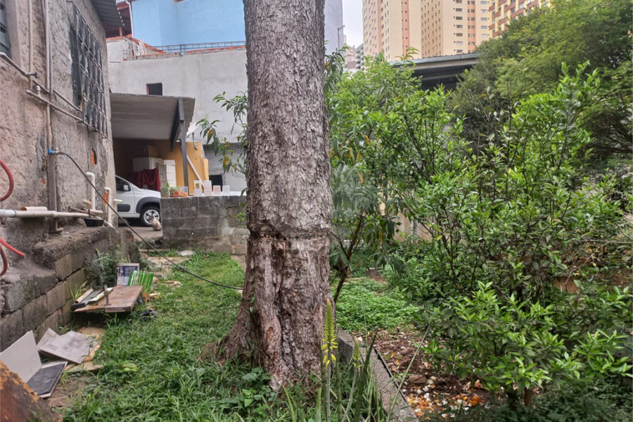 Terreno à venda em Santana, São Paulo, SP