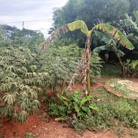 Chácara à venda com 2 suítes em Mato Seco, Itapetininga, SP