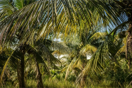 Área de Terra à venda com 1 suíte em Campo Grande, Rio de Janeiro, RJ