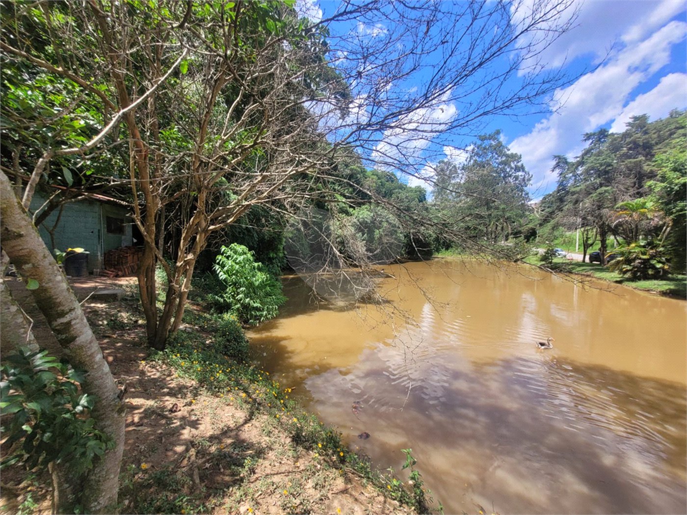 Terreno à venda em Parque Rizzo, Cotia, SP