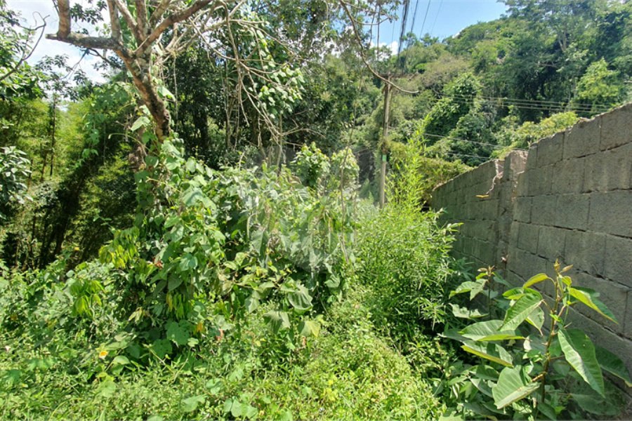 Chácara à venda com 2 quartos em Serra da Cantareira, Mairiporã, SP