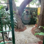 Cobertura à venda ou para alugar com 2 quartos em Planalto Paulista, São Paulo, SP