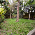 Linda casa térrea no Mandaqui