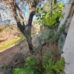 Casa à venda com 3 quartos, sendo 1 suíte, no condomínio Estância Marambaia, Vinhedo - SP