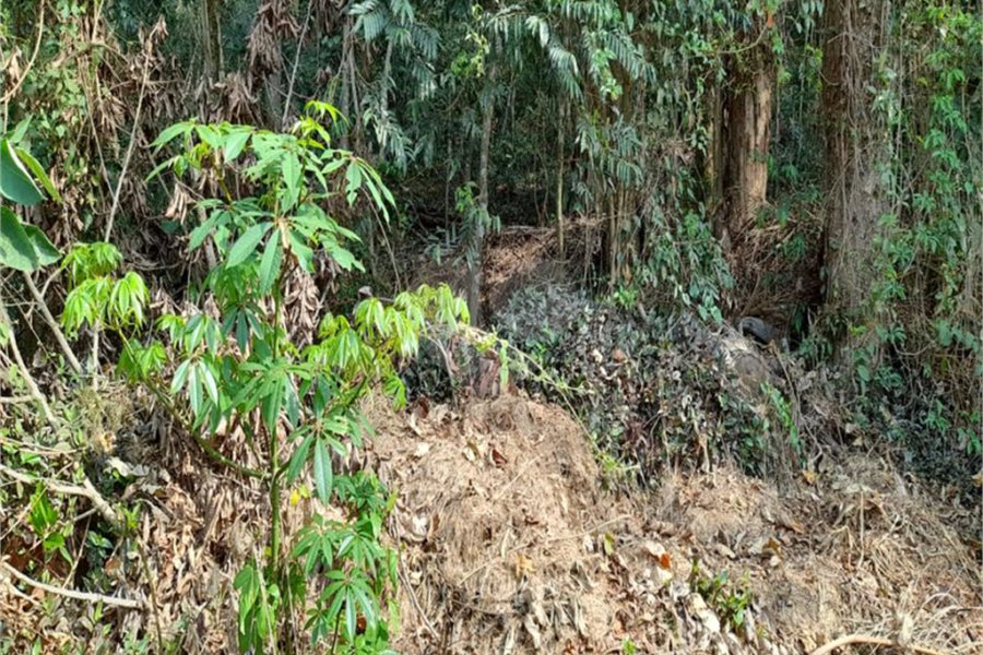 Terreno à venda em Roseira, Mairiporã, SP