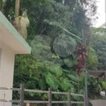 Apartamento à venda com 2 quartos em Tremembé, São Paulo, SP