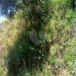 Terreno à venda em Vila São Paulo, Mogi das Cruzes, SP