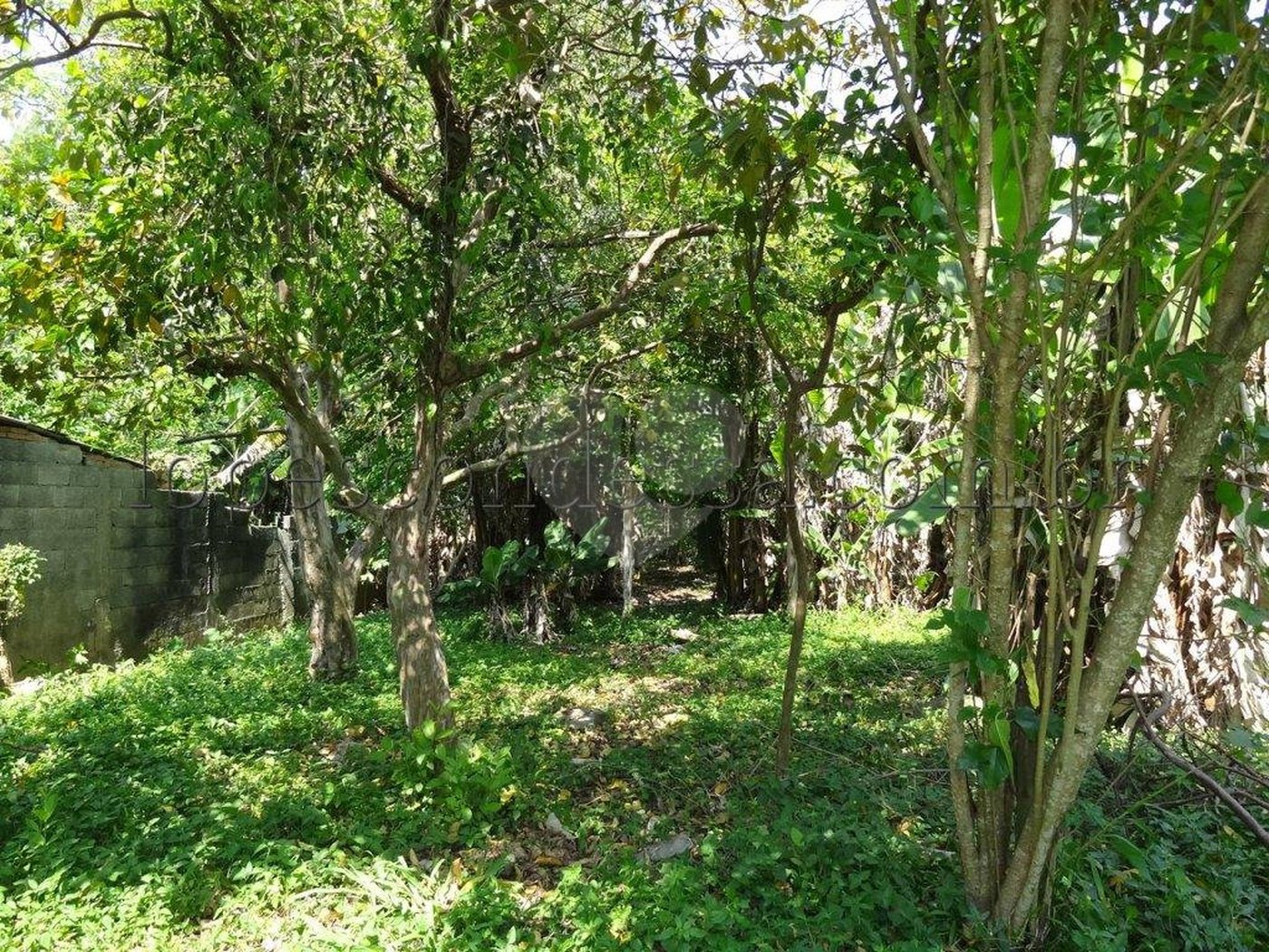 Terreno à venda em Horto Florestal, São Paulo, SP