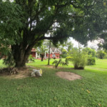 SÍTIO À VENDA EM ELIAS FAUSTO 21.900 m² - ÓTIMA TOPOGRAFIA E EXCELENTE LOCALIZAÇÃO