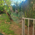 Casa à venda ou para alugar com 3 quartos, sendo 1 suíte, em Jardim Sontag, Salto, SP