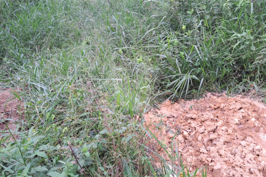 Terreno à venda em Serra da Cantareira, Mairiporã, SP