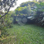 Terreno à venda em Tucuruvi, São Paulo, SP