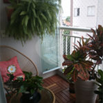Apartamento à venda com 3 quartos, sendo 1 suíte, em Vila Guilherme, São Paulo, SP