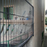 Prédio à venda em Santana, São Paulo, SP