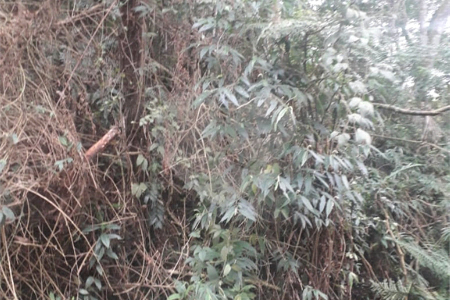 Terreno à venda em Suasalito, Mairiporã, SP