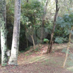 Casa à venda com 3 quartos, sendo 1 suíte,  em Jundiaizinho (terra Preta), Mairiporã, SP