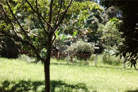 Casa à venda com 3 quartos, sendo 1 suíte,  em Eldorado, São Paulo, SP