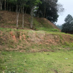 Terreno à venda em Horto Florestal, São Paulo, SP