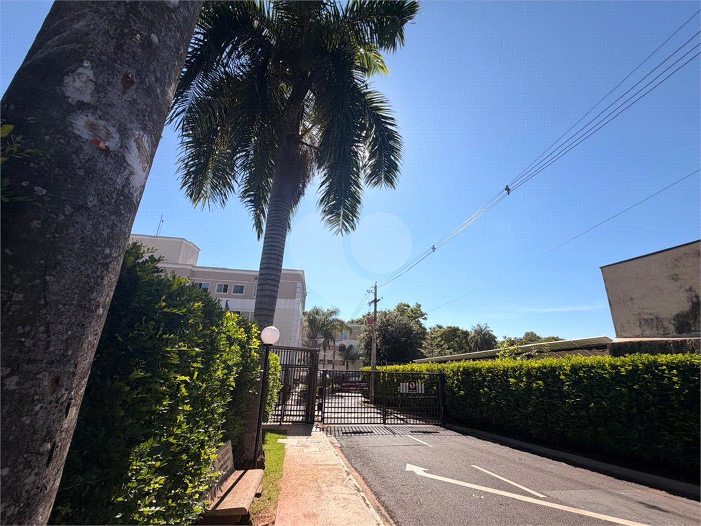 Apartamento à venda com 2 quartos em Vila Abranches, Ribeirão Preto, SP