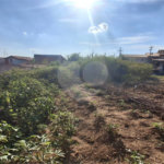 Terreno à venda em Jardim Rosália Alcolea, Sorocaba, SP