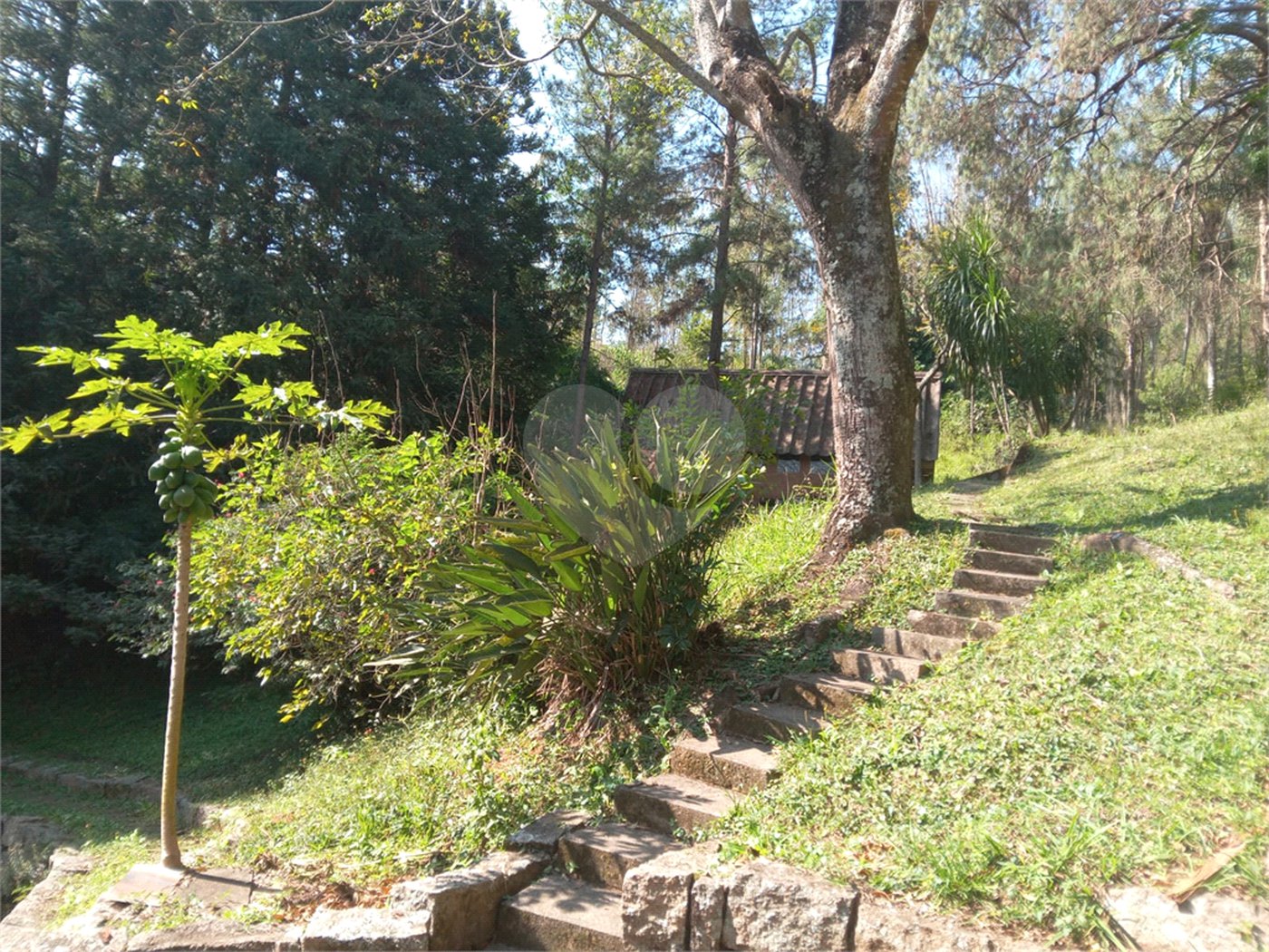 Sítio à venda em Chácara São João, Campo Limpo Paulista, SP