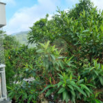 Apartamento à venda com 3 quartos, sendo 1 suíte, em Horto, São Paulo, SP