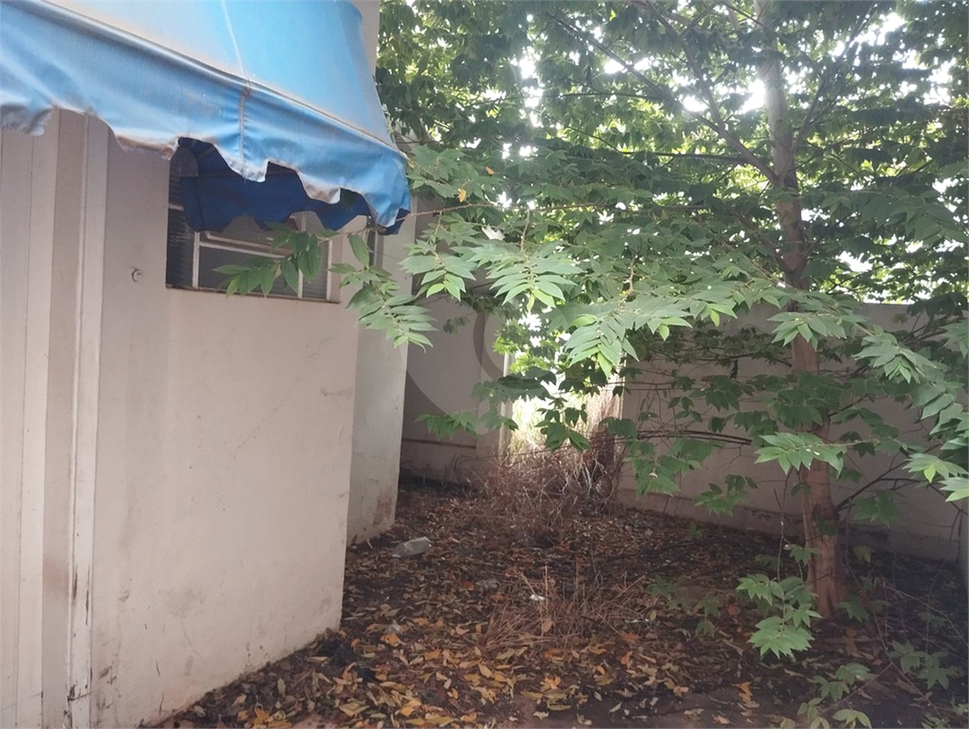 Casa à venda com 4 quartos no Centro, Araraquara, SP