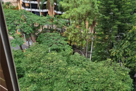 Apartamento à venda com 3 quartos, sendo 1 suíte, em Jardim Ampliação, São Paulo, SP