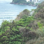 Apartamento Residencial à venda, Barra Funda, Guarujá - AP0311.
