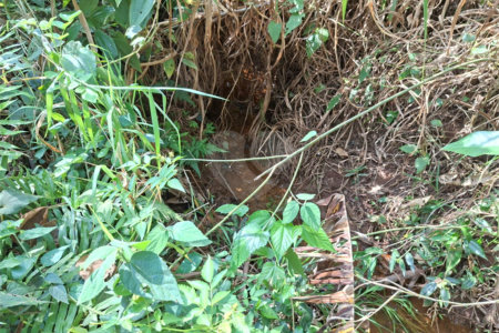 Terreno à venda em Chácara Fernão Dias, Bragança Paulista, SP