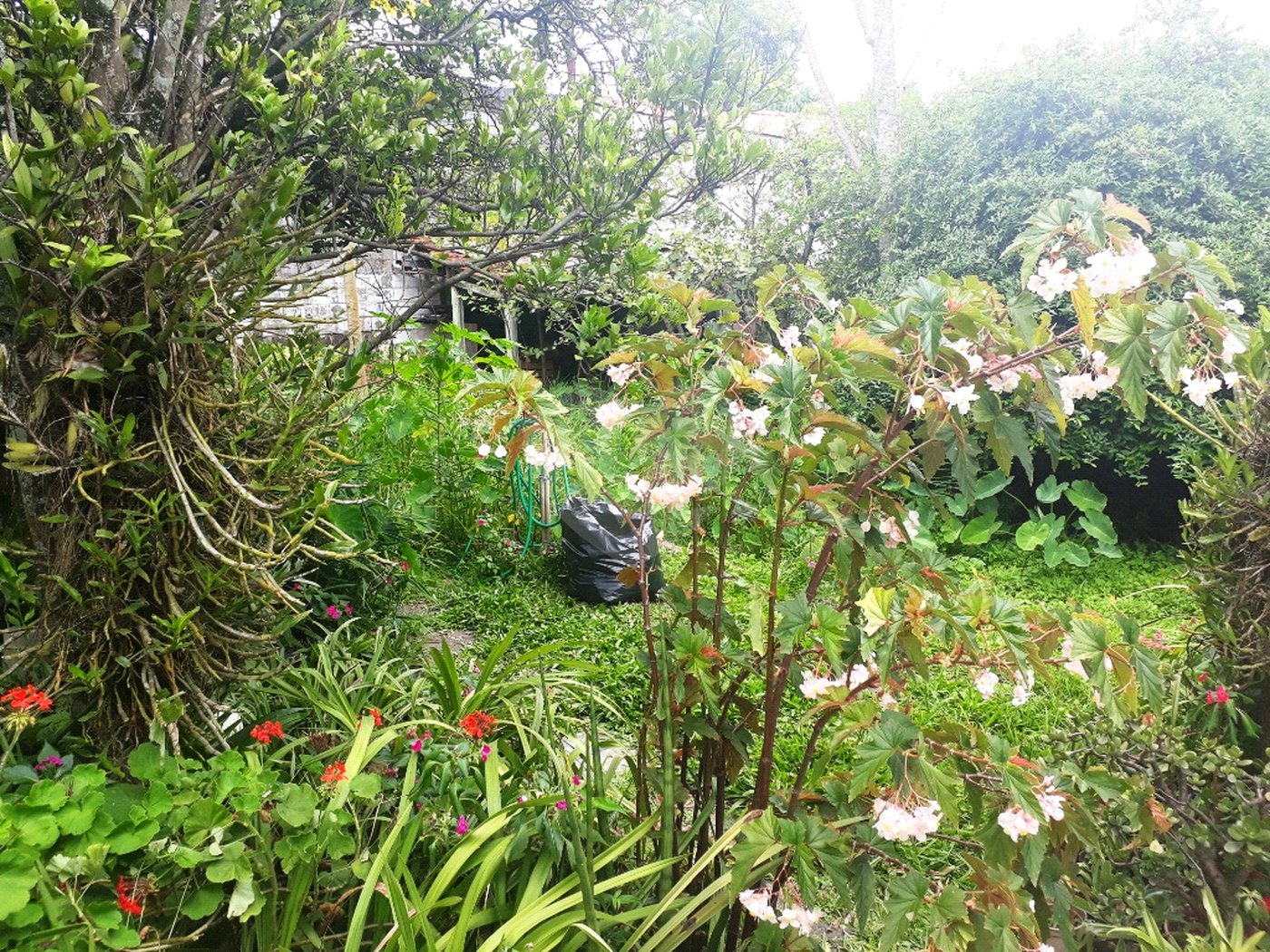 Casa Térrea à venda com 3 quartos, sendo 1 suíte, em Tremembé, São Paulo, SP