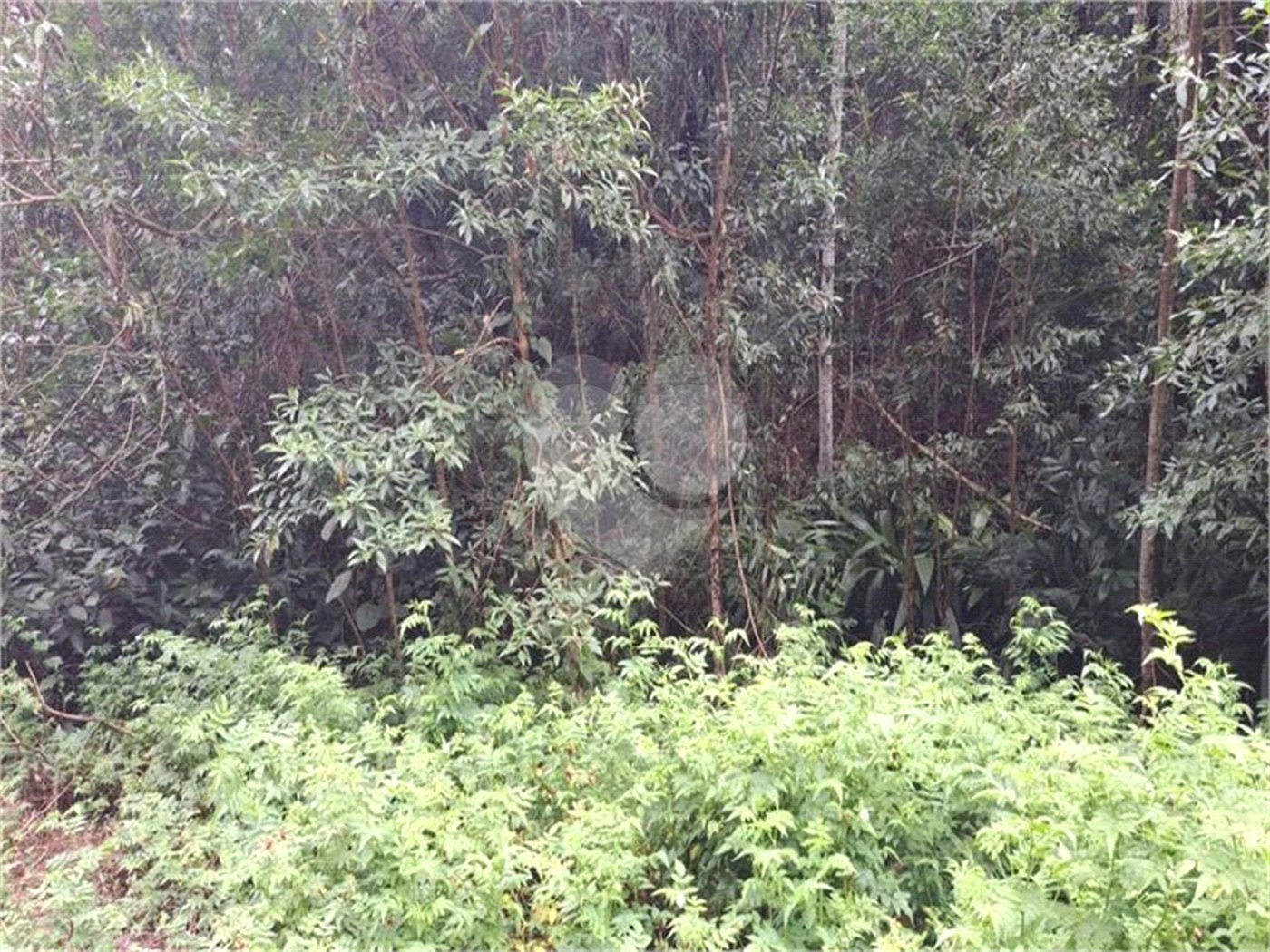 Terreno à venda no condomínio Parque Suiça, Caieiras - SP