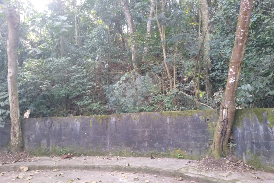 Terreno à venda em Tucuruvi, São Paulo, SP