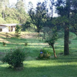 Sítio à venda com 2 quartos, sendo 1 suíte, em Ibiúna, Ibiúna, SP