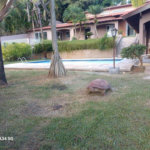 Casa à venda ou para alugar com 5 quartos, sendo 2 suítes, no condomínio Fazenda São Joaquim, Vinhedo - SP