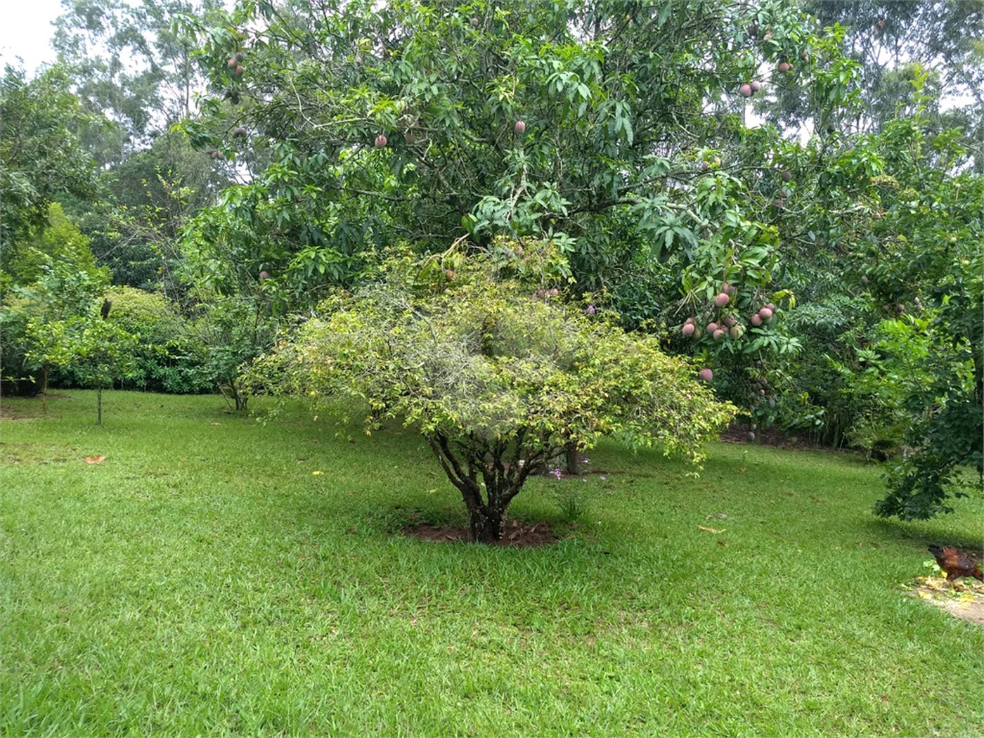 Chácara a venda no Residencial Planalto Serra Verde em Itirapina