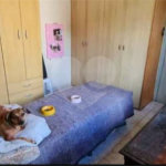 Casa térrea para venda em Descalvado/SP.