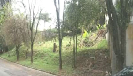 Terreno à venda em Adalgisa, Osasco, SP