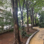 Apartamento para alugar com 3 quartos em Jardim Esmeralda, São Paulo - SP