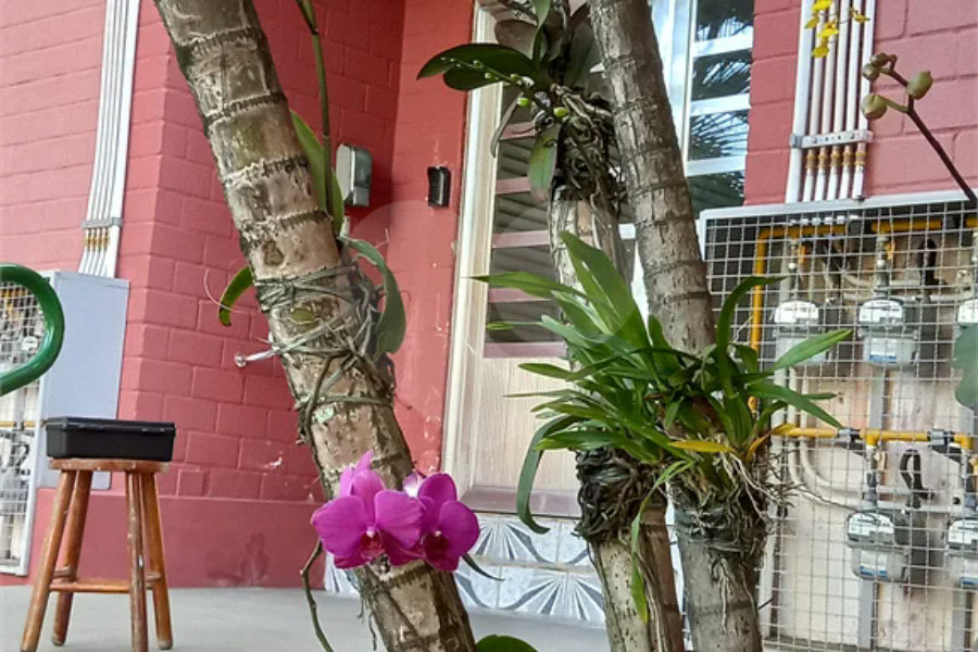 Apartamento à venda com 3 quartos em TREMEMBÉ, São Paulo, SP