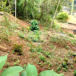 Excelente terreno à venda com 2950 m²