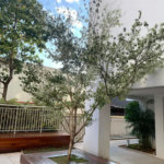 APARTAMENTO PARAÇAÇÃO COM 3 DORMITÓRIOS E 2 VAGAS DE GARGEM NA VILA ANASTÁCIO