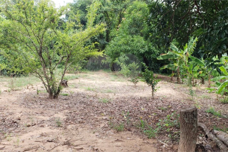 Sitio para venda.