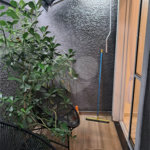 Apartamento á venda - São Caetano do Sul