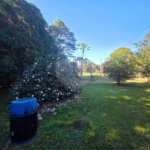 Sitio Granjeiro região de Água Vermelha 6,5 Alqueires (16,5 Hectares)