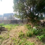 Casa térrea no Centro