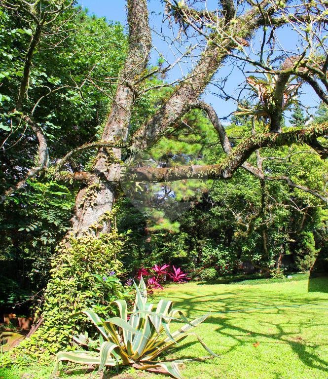 Casa Térrea à venda com 3 quartos, sendo 1 suíte, em Granja Julieta, São Paulo, SP
