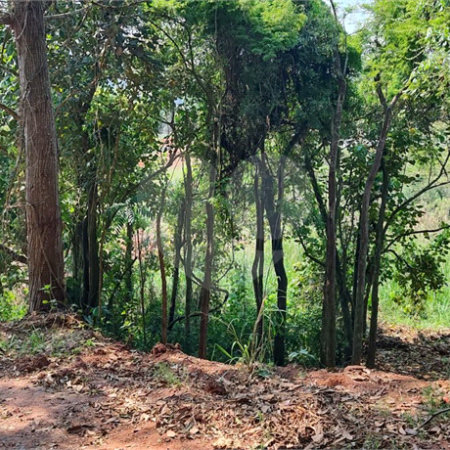 TERRENO DE 500 M² EM ATIBAIA PRONTO PARA CONSTRUIR, AVALIA PERMUTA COM CARRO